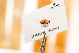 home4students Glockengasse