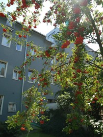 Berglandhotel
