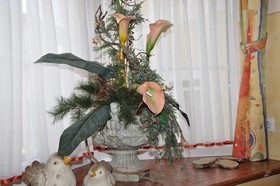 Frauenschuh