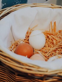 K6 Rooms by Der Salzburger Hof