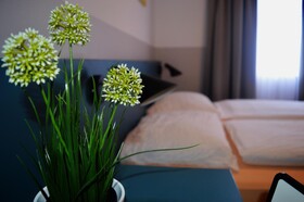 Pension Elisabeth