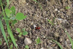 Pension Nocksteinblick