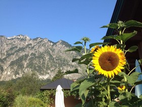 Gasthof Schorn