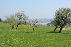 Bauernhof Aicherbauer