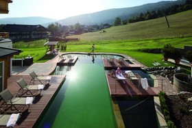Alm.Gut das Vital und Relaxhotel