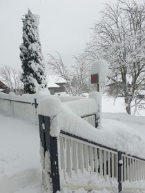 Alpenhof
