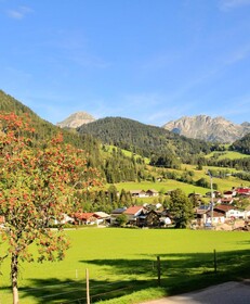 Alpenhof