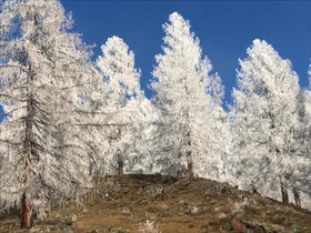 Alpenhof