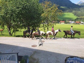 Alpenhof