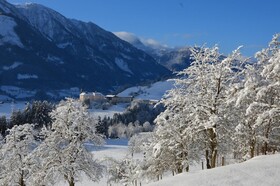 Metzgerwirt
