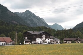 Bergrose