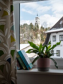 Apartments Im Loidls Guesthouse