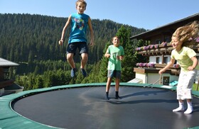 Hotel Ronach