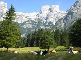 Bauernhof Vorderoberlehen