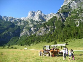 Bauernhof Vorderoberlehen