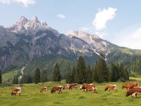 aja Bergresort Werfenweng