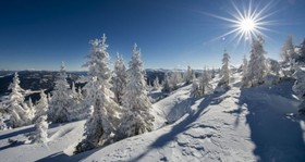 Rösslgut