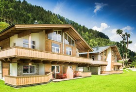 AlpenParks® Chalet & Apartment AreitXpress Zell am See