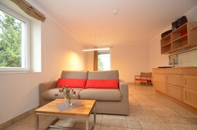 Apartmenthouse '5 Seasons' - Zell am See