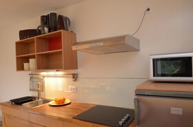 Apartmenthouse '5 Seasons' - Zell am See