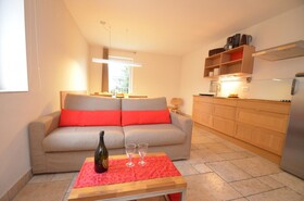 Apartmenthouse '5 Seasons' - Zell am See