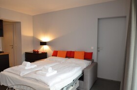 Apartmenthouse '5 Seasons' - Zell am See