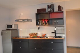 Apartmenthouse '5 Seasons' - Zell am See