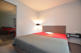 Apartmenthouse '5 Seasons' - Zell am See