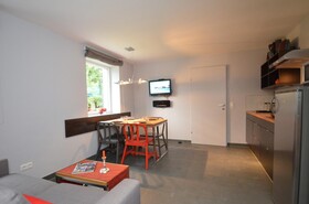 Apartmenthouse '5 Seasons' - Zell am See