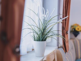 Appartementhaus Plattner