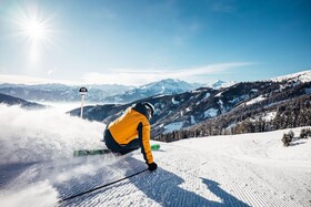 Crown of The Alps