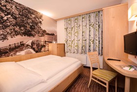 Hotel Grüner Baum
