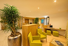 Hotel Grüner Baum