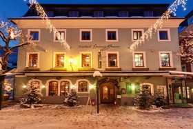 Hotel Grüner Baum