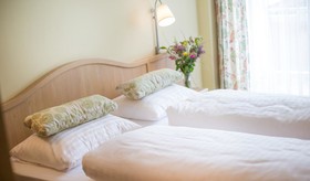 Hotel Grüner Baum