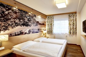 Hotel Grüner Baum