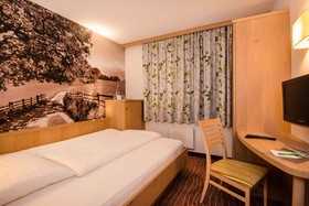 Hotel Grüner Baum