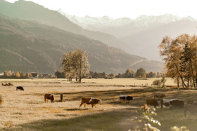 Lake View Lodges by we rent