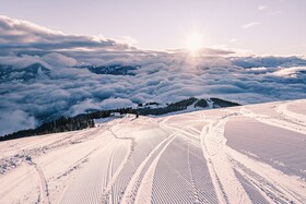 Max Panorama