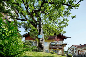 Romantikhotel Zell am See