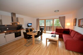 Schmitten Finest Apartments