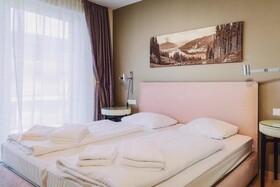 The House - Zell am See