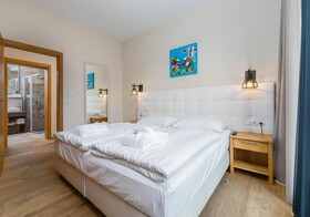 The House - Zell am See