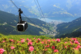 das zellersee
