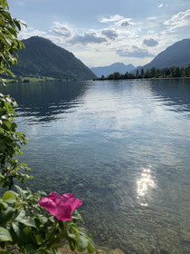 Alpenapartments Steiermark