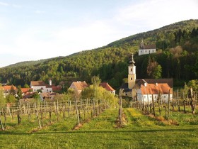 Zum Schwan