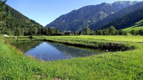 Gasthof zur Gams
