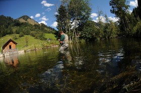 Gasthof zur Gams