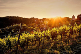 LOISIUM Wine & Spa Resort Südsteiermark