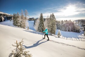 Almwellness Hotel Pierer Superior